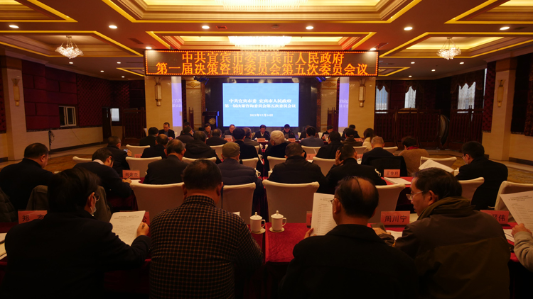 建言资政  助推宜宾高质量发展.jpg