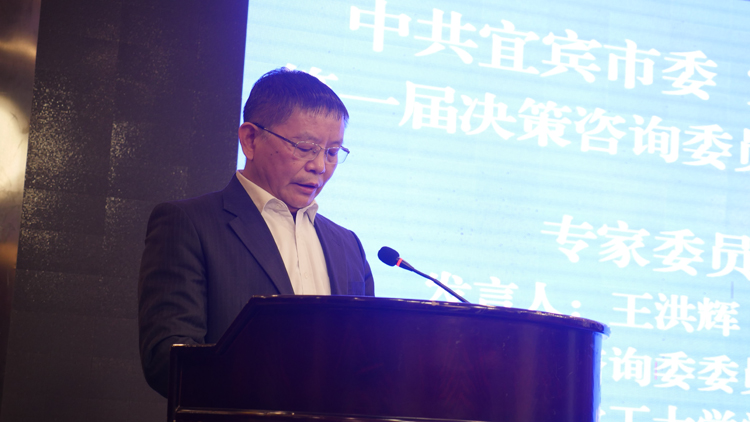 建言资政  助推宜宾高质量发展2.jpg