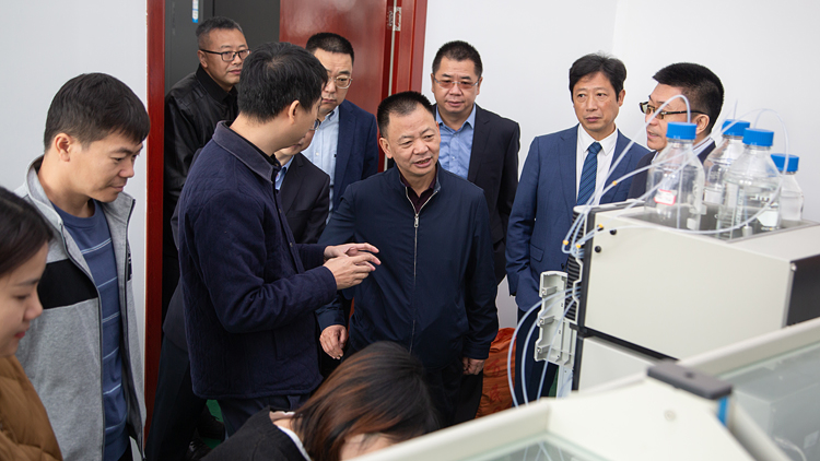 XCB_6262.jpg