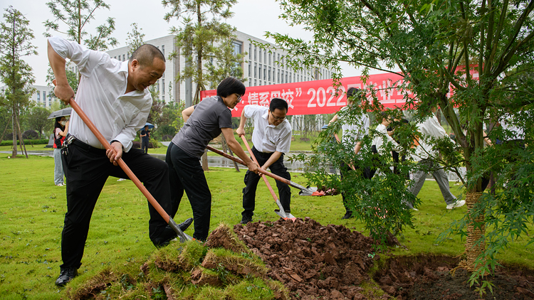 YAM_0493.jpg YAM_0493.jpg