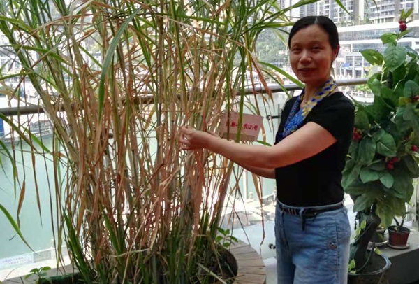 杨玲.jpg 杨玲.jpg