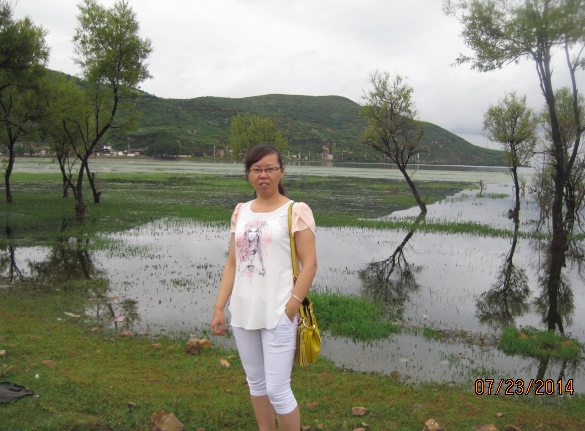 曾慧敏.JPG 曾慧敏.JPG