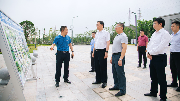 XCB_2262.jpg XCB_2262.jpg