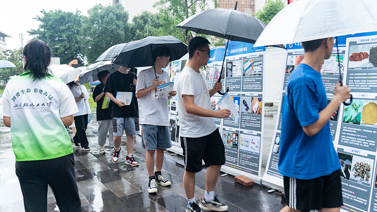 WZH05827.jpg WZH05827.jpg