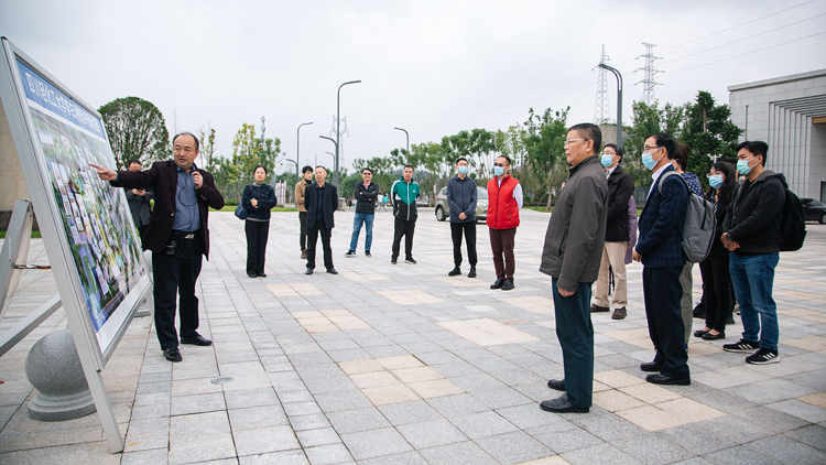 XCB_8358.jpg