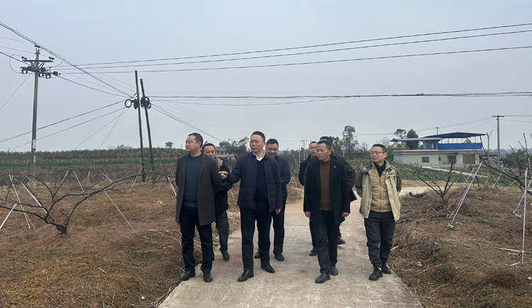 调研产业.jpg